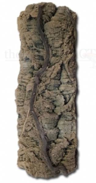 Liana tree trunk B 55x20cm